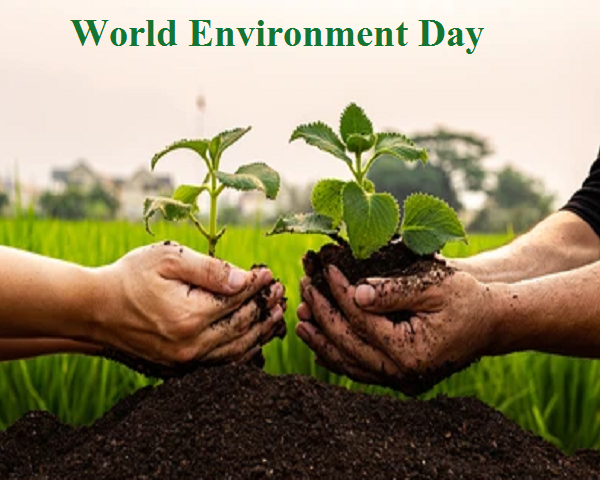 Preserving Our Planet: Celebrating Environmental Day