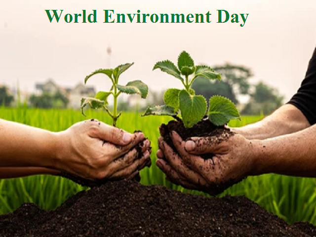 Preserving Our Planet: Celebrating Environmental Day